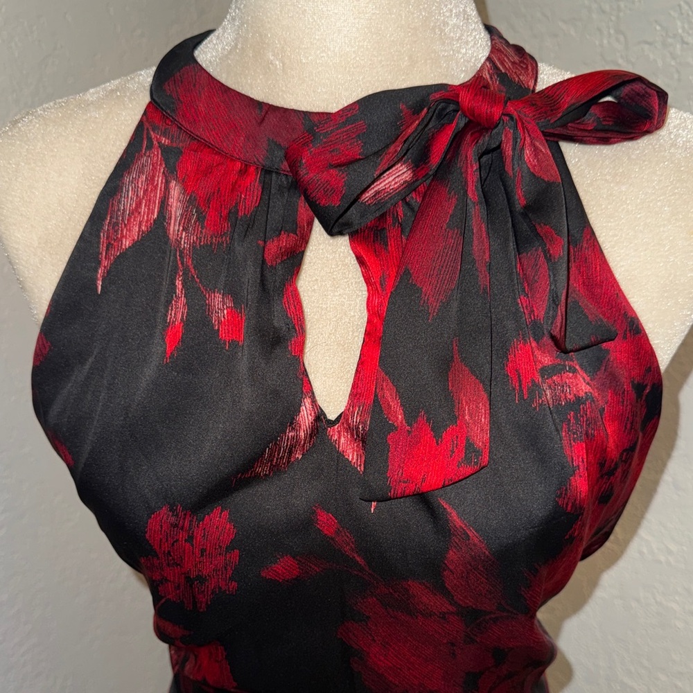 Chetta B Black Maxi Dress with Red Floral Print - Picture 3 of 9